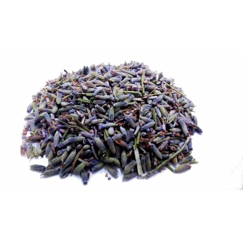 Flor de Lavanda